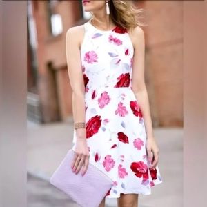 BANANA REPUBLIC White and Red Floral Crepe Sleeveless Racer Back Dress Size 2
